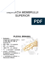 Inerv MB supAML PDF