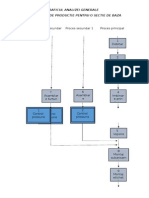 Graficul Analizei Generale A Procesului de Productie