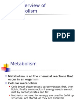 3 Metabolism of Carbohydrates