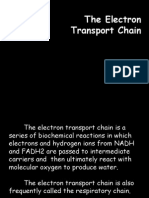 ElectronTransportChain