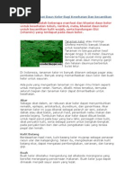 Download Manfaat Khasiat Daun Kelor Bagi Kesehatan Dan kecantikandocx by riofunky SN252979766 doc pdf