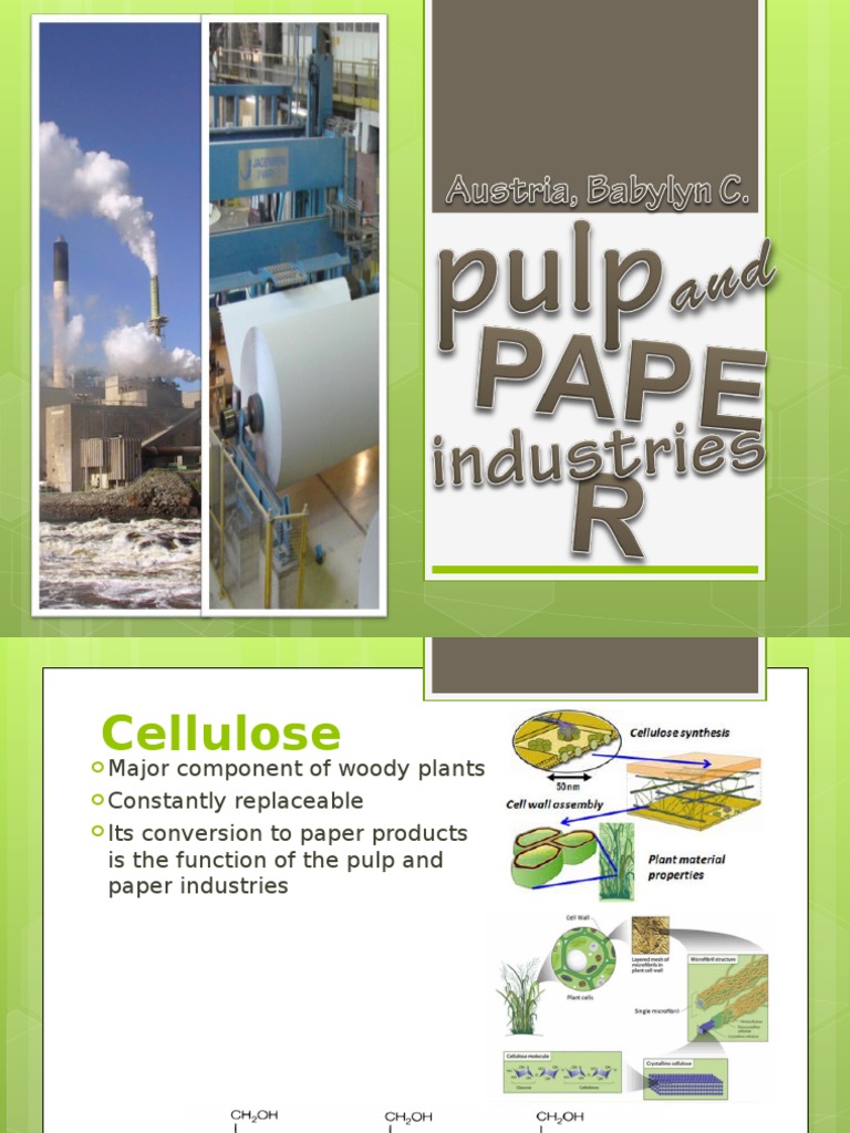 Pulp and Paper Industries Pulp (Paper) Paper
