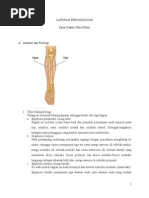 Download LAPORAN PENDAHULUAN Fraktur Tibia Pibula by Fei NeViza SN252981890 doc pdf