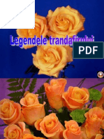Legendele Trandafirului - Pps
