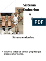 08 - Sistema Endocrino y Deporte