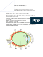 Notiuni de Anatomie Oft