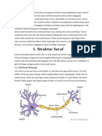 Sistem Saraf & Sistem Koordinasi