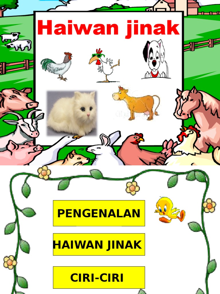 Haiwan Jinak