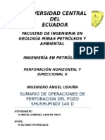 Sumario de Perforacion