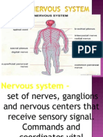 Nervous System