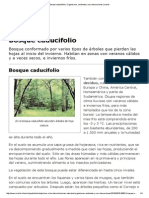 Bosque Caducifolio - Organismos, Ambiente y Sus Interacciones - Icarito