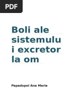 Boli Ale Sistemului Excretor La Om