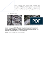 Prezentare Roci PDF