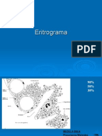 Eritrograma