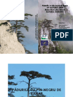 Padurile de pin negru de Banat (Pinus nigra banatica) sit Natura 2000