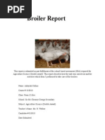 Download Broiler Report by aliyah SN253015416 doc pdf