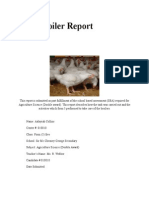 Download Broiler Report by aliyah SN253015416 doc pdf