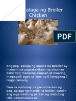 Pag-Aalaga NG Broiler Chicken