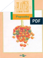 A Cultura Da Pupunha 00013500