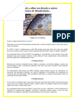 A Confraternidade PDF