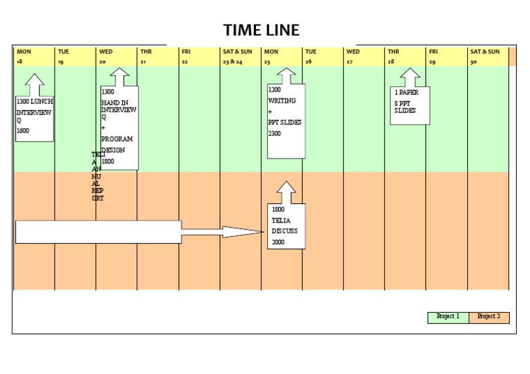 Weekly Project Timeline and Tasks | PDF
