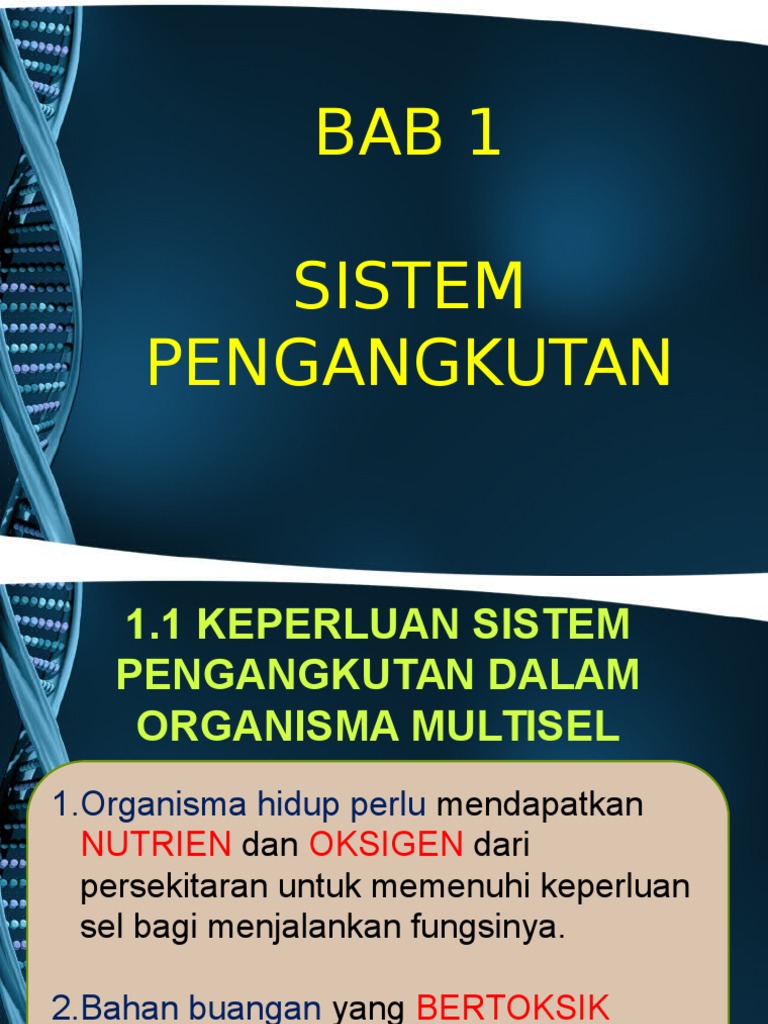 Bab 1.1 Keperluan Sistem Pengangkutan Dalam Organisma Multisel | PDF