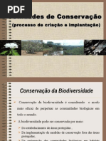 Atividade de Preservação a Natureza 02