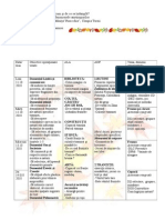 Planificare-Culorile Anotimpurilor