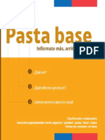 Documento Sobre La Pasta Base
