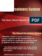 CirculatorySystem .ppt