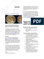 Platen Verschuiven Op Maan Van Jupiter