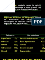 Sistema Antioxidante