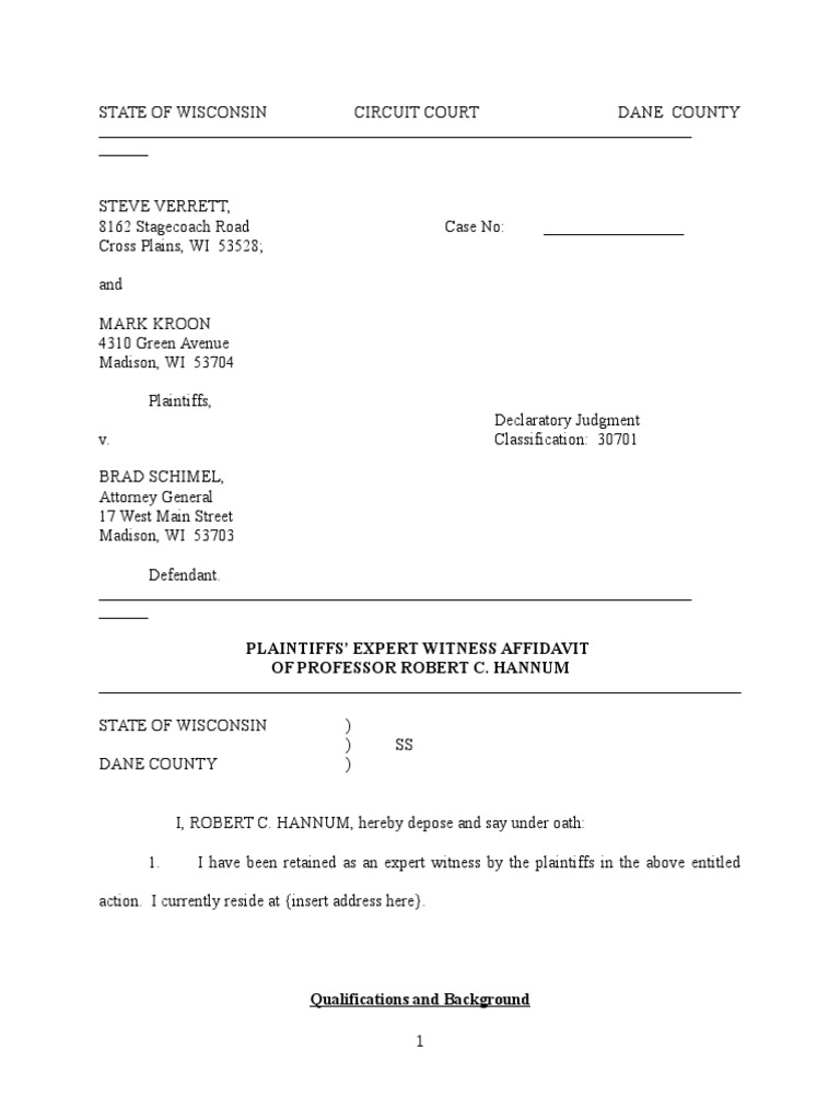 Plaintiffs' Expert Witness Affidavit Featuring Testimony From Professor