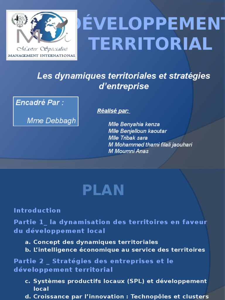 Développement Territorial PDF Business Compétitivité économique