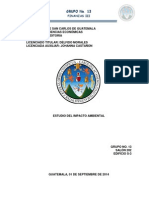 Grupo 13 ESTUDIO DEL IMPACTO AMBIENTAL PDF