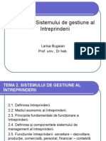 2. Sistemul de Gestiune Al Întreprinderii