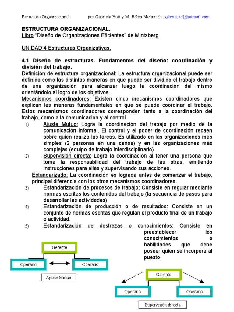Estructura Organizacional | PDF | Toma de decisiones | Burocracia