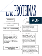 Las Proteínas, Mapa Mental 