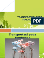 Transportasi Pada Makhluk Hidup