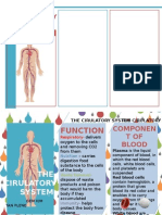 The Cirulatory System