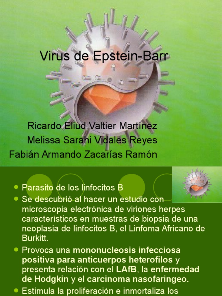 Mononucleosis y Virus Epstein-Barr | PDF | Virus | Sistema inmune