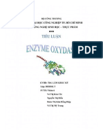 Tiểu Luận Enzyme Oxydase