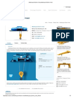 Metallurgical Electric Hoist_Metallurgical Electric Hoist