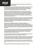Laporan Pertandingan Bercerita Bahasa Melayu Tahap 2 -Dah 