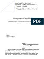 Psihologia Vârstelor-Premisele Psihologice