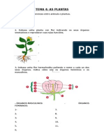 Tema 4