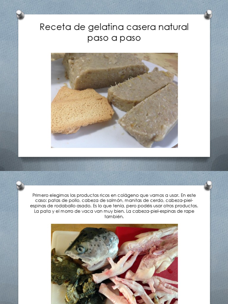 Receta de Gelatina Casera Natural para Perros PDF Caldo Vegetales