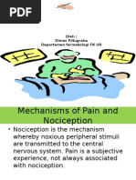 Analgetik Antipiretik Antiinflamasi