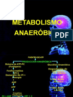 Metabolismo Anaerobico