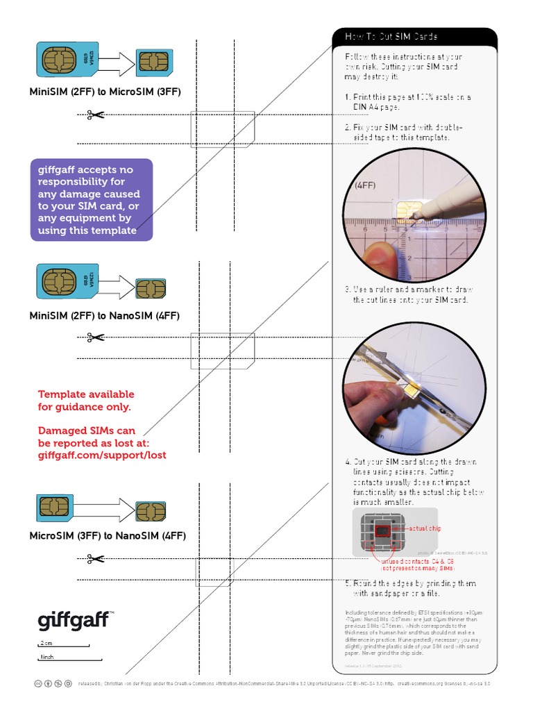 Microsim Template | PDF